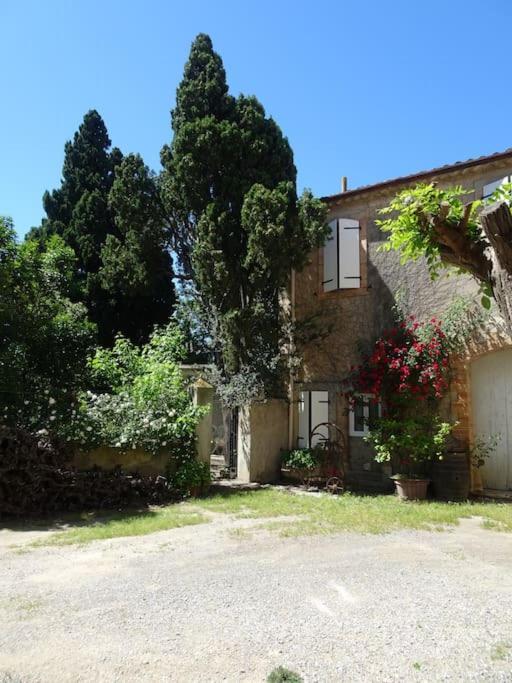 Sigean - Maison Domaine Viticole, 6 Km De La Mer Exterior foto